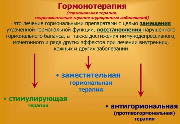 Андростендион повышен у женщин. Что это, норма, за что отвечает, когда сдавать, причины отклонения