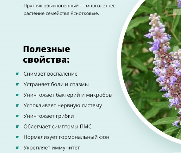 Андростендион повышен у женщин. Что это, норма, за что отвечает, когда сдавать, причины отклонения