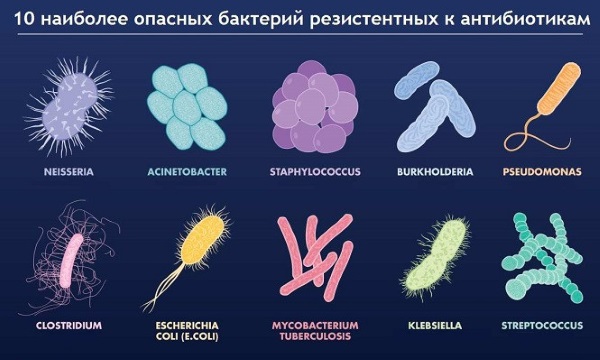 Антибиотики при гриппе у взрослых. Названия, список без рецептов, недорогие