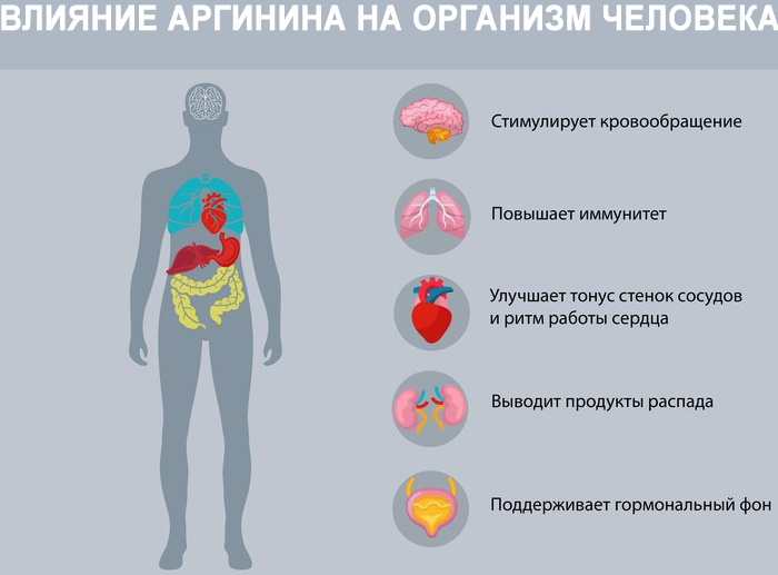 Аргинин (аминокислота Л-Аргинин) в продуктах питания. Таблица, где содержится