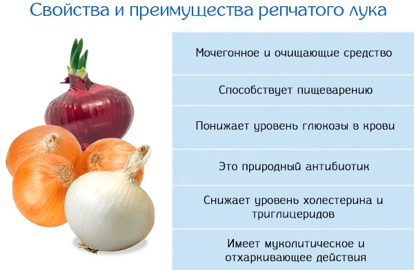 Чеснок, лук и подагра: можно ли есть