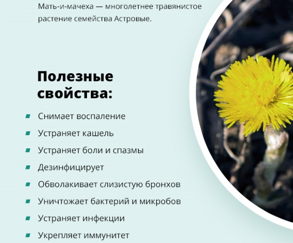 Атрофия слизистой в гинекологии. Лечение народными средствами, препараты, свечи. Симптомы