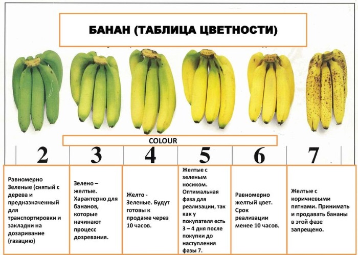 Банан от кашля, изжоги, запора, поноса. Рецепты взрослому в народной медицине, сколько пить, с медом, какао, при беременности, ребенку