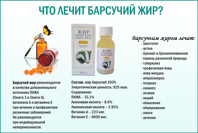 Барсучий жир. Как принимать внутрь в лечебных целях