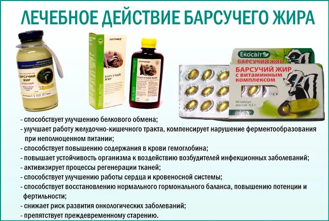 Барсучий жир. Как принимать внутрь в лечебных целях