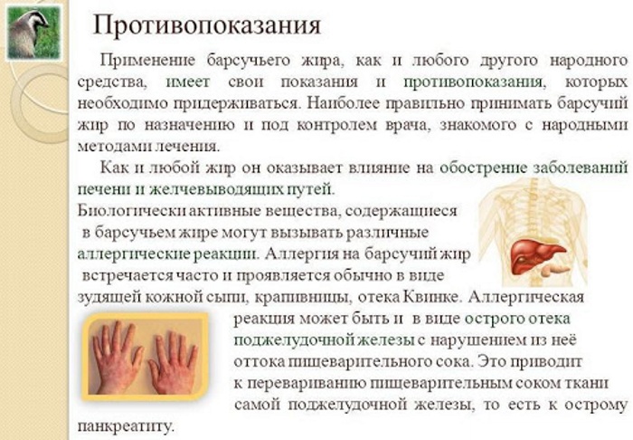 Барсучий жир. Как принимать внутрь в лечебных целях