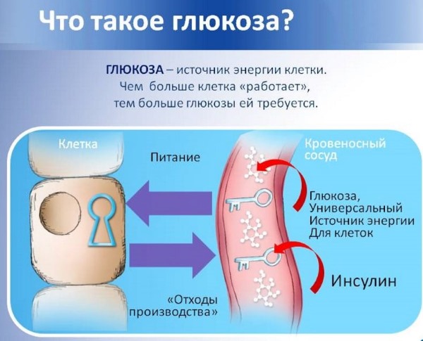 Полезные свойства березовых почек, показания и противопоказания для мужчин, женщин, как принимать
