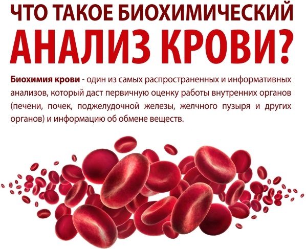 Биохимические исследования крови. Расшифровка, норма у взрослых, детей