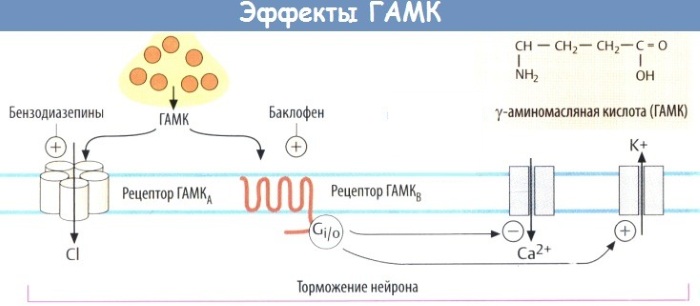Бутират. Что это такое, действие на организм, признаки приёма, последствия