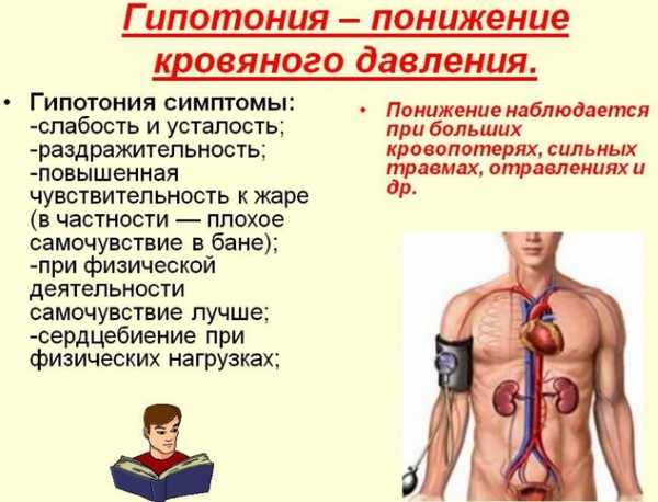 Чай из ромашки. Полезные свойства и противопоказания