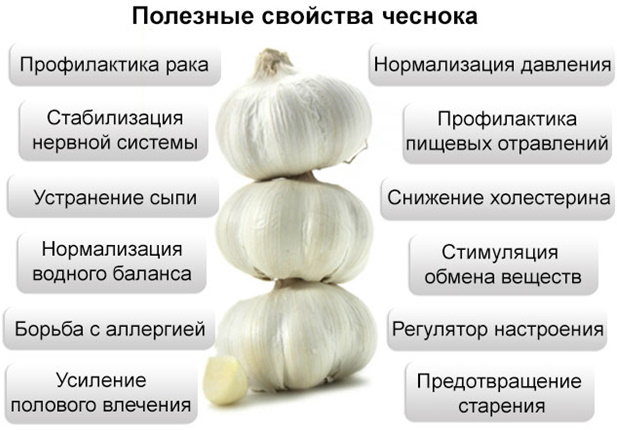 Чеснок, лук и подагра: можно ли есть