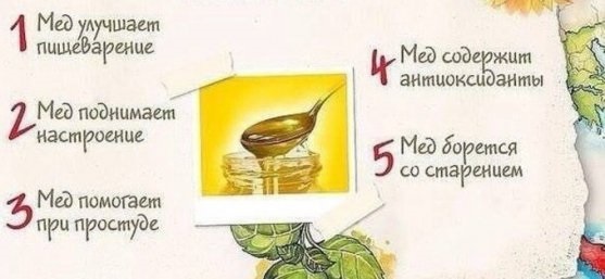 Что помогает от изжоги: медикаментозное лечение, народные средства и методы в домашних условиях