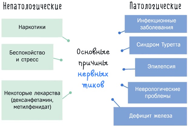 Дергаются мышцы в состоянии покоя на руке, ноге, по телу. Причины