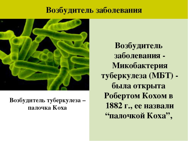 Диаскинтест. Противопоказания у детей, с какого возраста, норма, оценка
