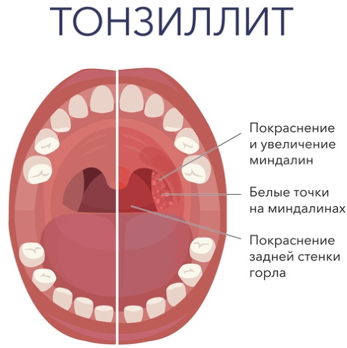 Экстракт семян грейпфрута. Применение взрослым, детям