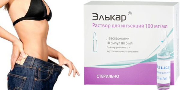 Элькар для похудения. Как принимать, инструкция по применению, отзывы