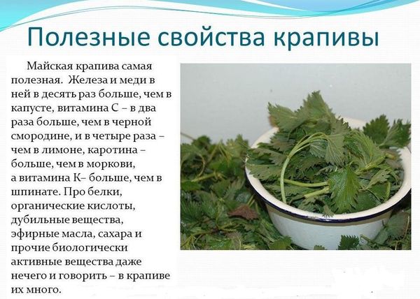 Эстровэл при климаксе, менопаузе у женщин. Отзывы, как принимать