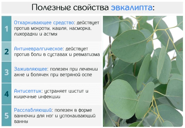 Индийская мазь для суставов. Где купить, названия. Румалайя, Ревматил, Mahanarayan, Dahn Hanzal, Moov, Долорон