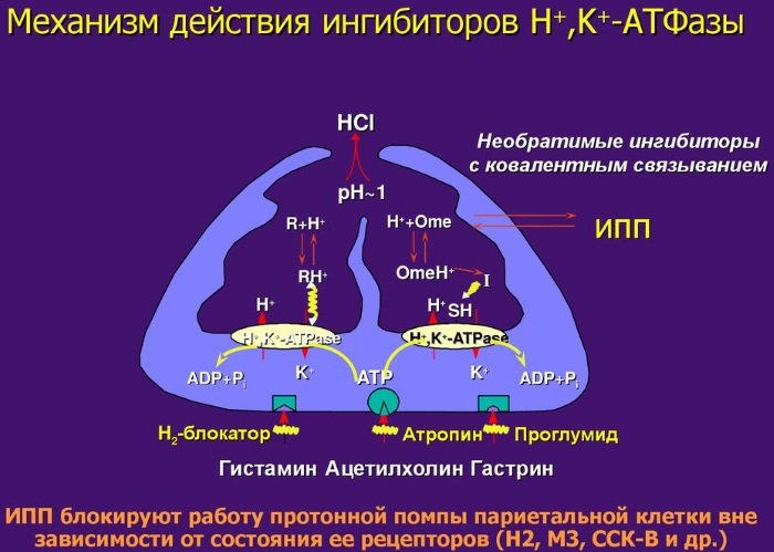 Лекарства от боли в животе у взрослого