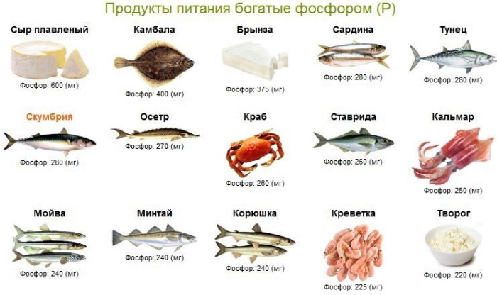 Фосфор неорганический в крови повышен у взрослого. Причины