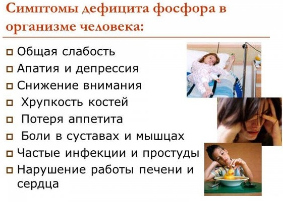 Фосфор в продуктах питания. Таблица, где больше всего, суточная норма, польза, вред