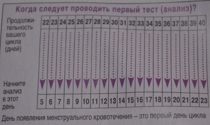Фраутест (Frautest) на овуляцию. Инструкция по применению, цена, отзывы