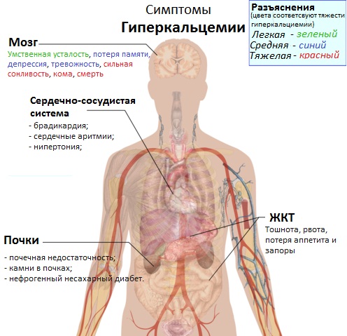 Кальция карбонат (Calcii carbonas). Что это такое, инструкция по применению, аналоги, цена, отзывы