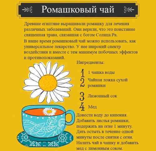 Отвар ромашки. Польза, как приготовить, применение