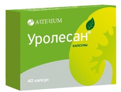 Хмель шишки. Полезные, лечебные свойства и противопоказания для женщин, мужчин, детей. Когда собирать и как использовать растение в домашних условиях