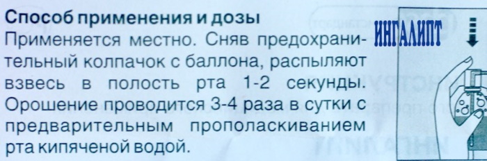 Ингалипт при беременности 1-2-3 триместр. Инструкция по применению