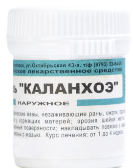 Каланхоэ. Лечебные свойства и применение, рецепты