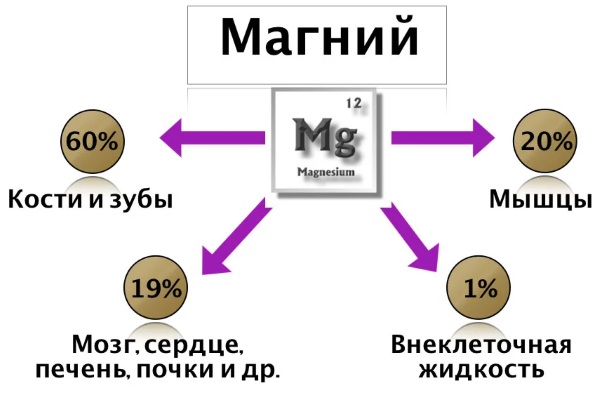 Цитрат Магния Солгар (Magnesium Citrate Solgar). Отзывы, инструкция по применению, состав, цена