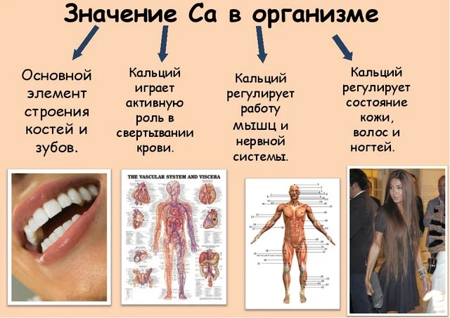 Кальция карбонат (Calcii carbonas). Что это такое, инструкция по применению, аналоги, цена, отзывы