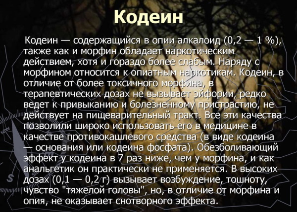 Кодеин наркотик. Эффекты и последствия, препараты