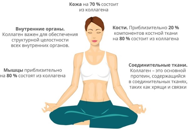 Коллаген в капсулах. Для чего полезен, инструкция по применению, цена