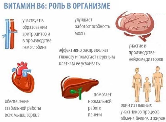 Комбилипен (Combilipen) в таблетках. Цена, инструкция по применению, аналоги, состав