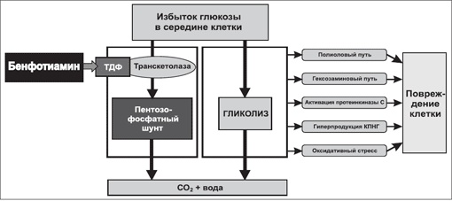 Комбилипен (Combilipen) в таблетках. Цена, инструкция по применению, аналоги, состав