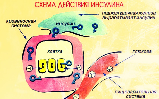 НовоМикс 30 ФлексПен. Инструкция по применению, цена, отзывы