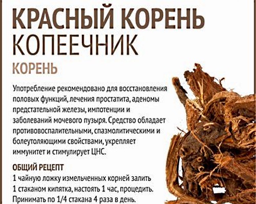 Красный корень. Лечебные свойства, инструкция, как принимать таблетки, настойку. Противопоказания и цена