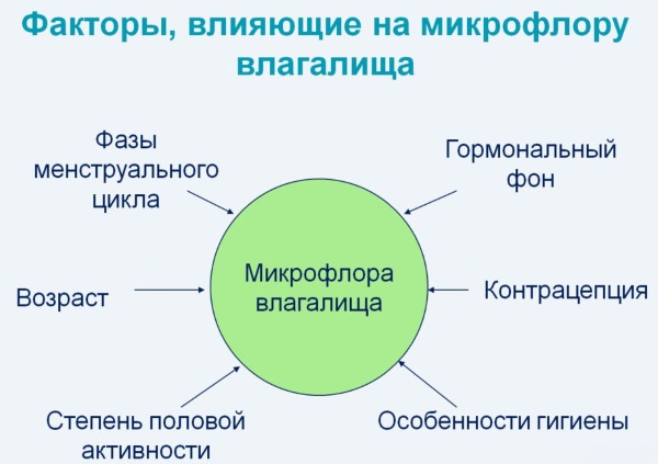 Нарушение микрофлоры у женщин в гинекологии. Причины, симптомы, лечение