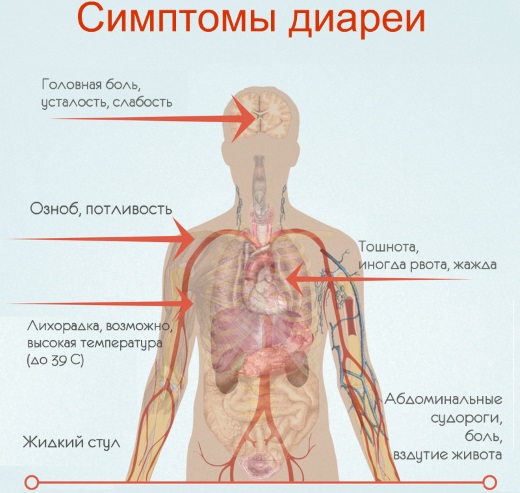 Лекарства от поноса у взрослого. Как и чем лечить диарею в домашних условиях