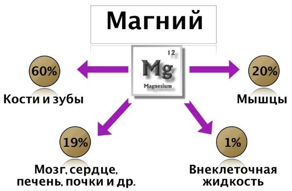 Анализы на микроэлементы и витамины по волосам, крови. Цена, где сдать гемотест