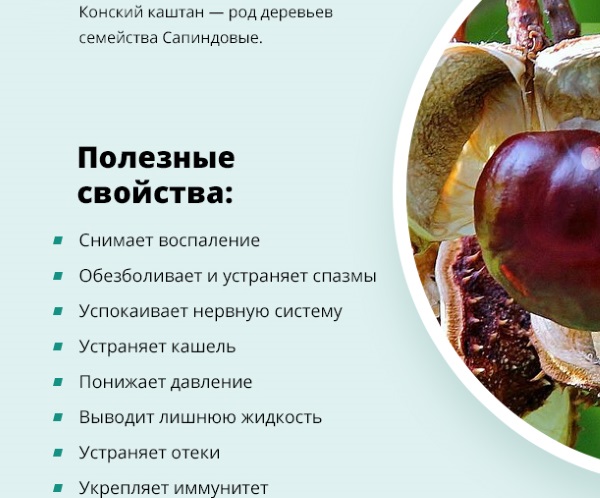 Мази от варикоза вен на ногах. Список, цены, лучшие при беременности