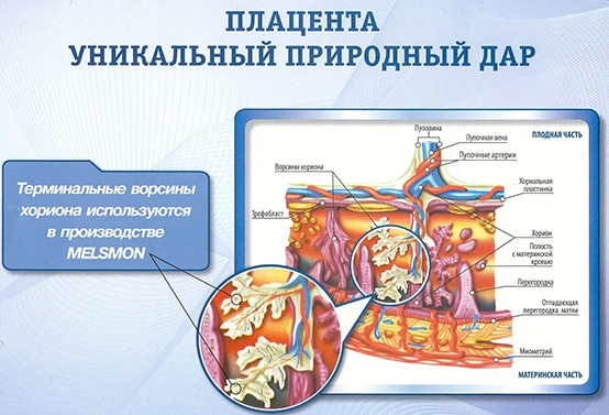 Мэлсмон (Melsmon) препарат в гинекологии. Инструкция по применению, цена