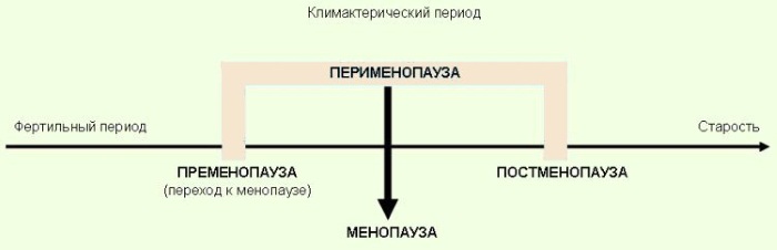 Месячные при климаксе. Как идут, сколько, симптомы, как вызвать, восстановить