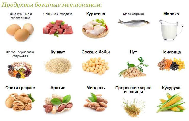 Метионин. Польза и вред для человека, печени, что это такое, в каких продуктах, для чего принимается в бодибилдинге. Цена, аналоги