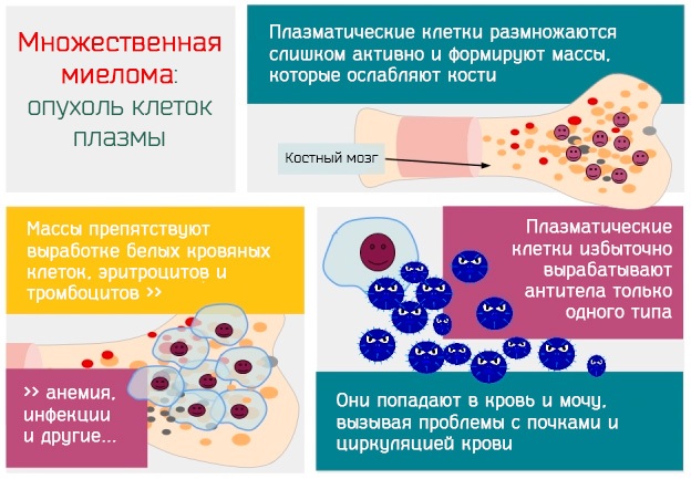 Фосфор неорганический в крови повышен у взрослого. Причины