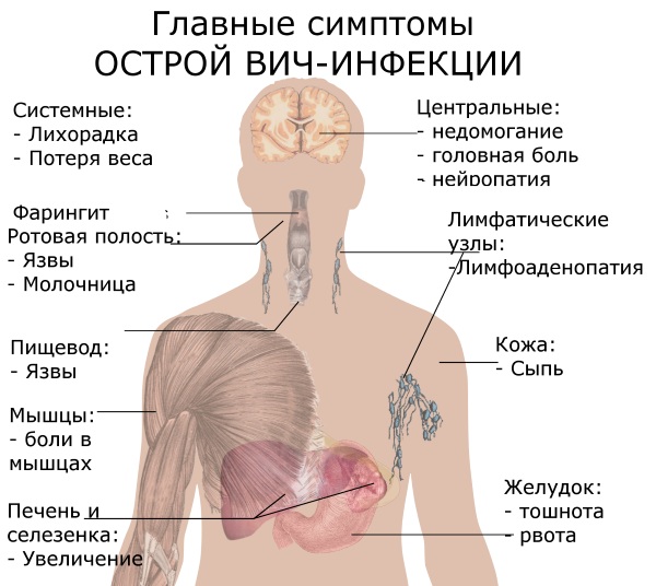 Температура 37 держится неделю у взрослого. Причины