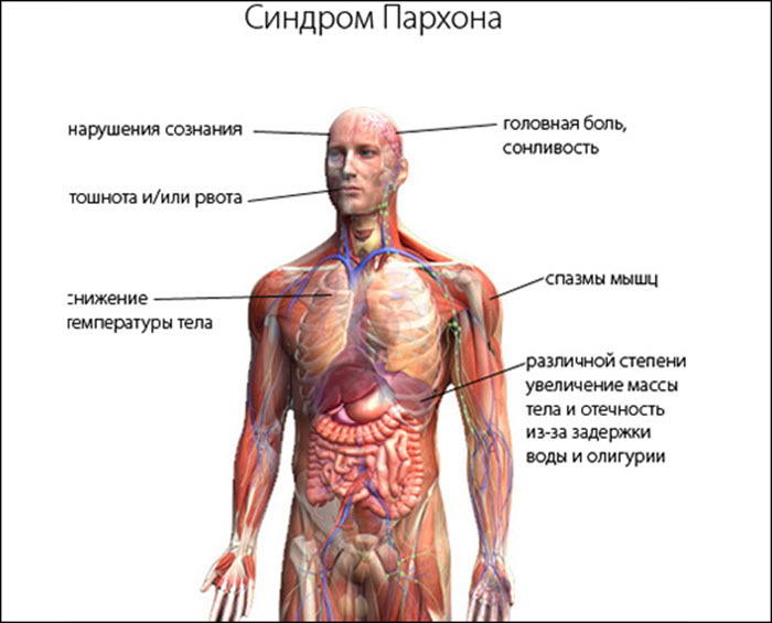 Мочевина в крови понижена при беременности. Что это значит