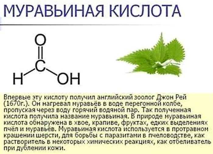 Муравьиная кислота. Свойства и применение, для чего